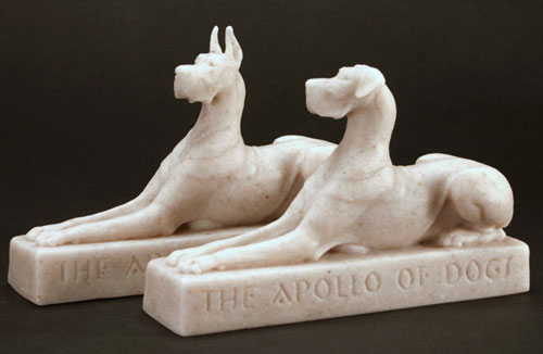 The Apollo of Dogs