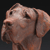 Closeup, natural bronze