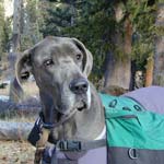 On the trail