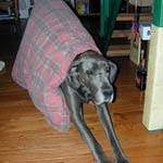 Taking the bed to bed