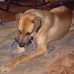 First toy?