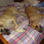 First bed?