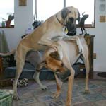 More playing...